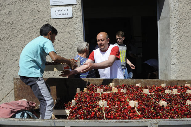 Роми беру, Срби мере, Руси носе!